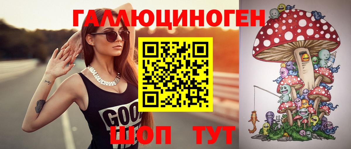 Псилоцибиновые грибы Psilocybe Бор