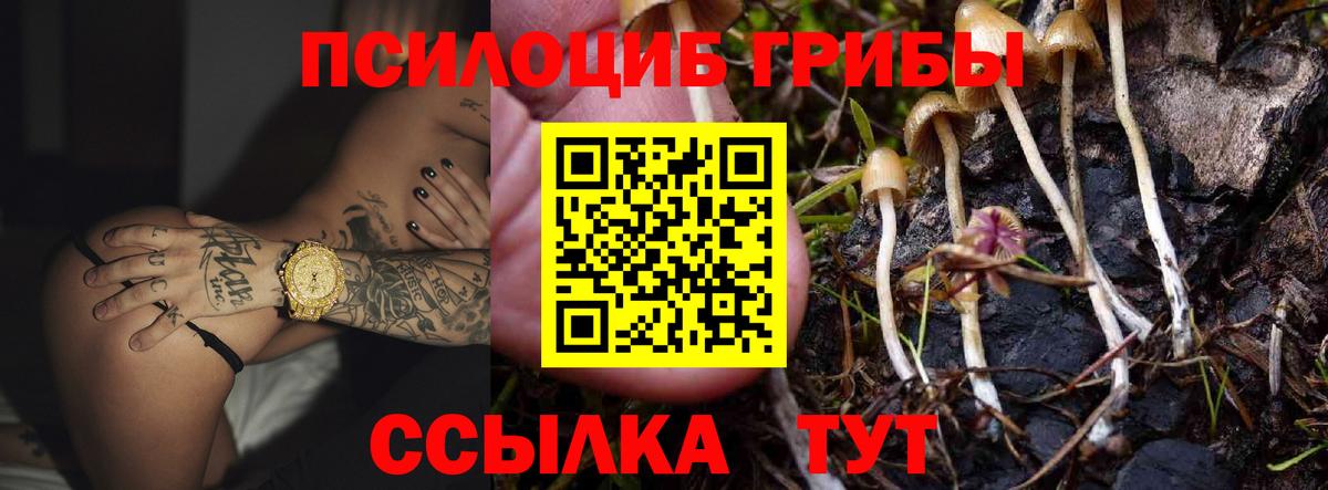 даркнет сайт  Вход с VPN  Галлюциногенные грибы Magic Shrooms  Бор  Псилоцибиновые грибы MAGIC MUSHROOMS 